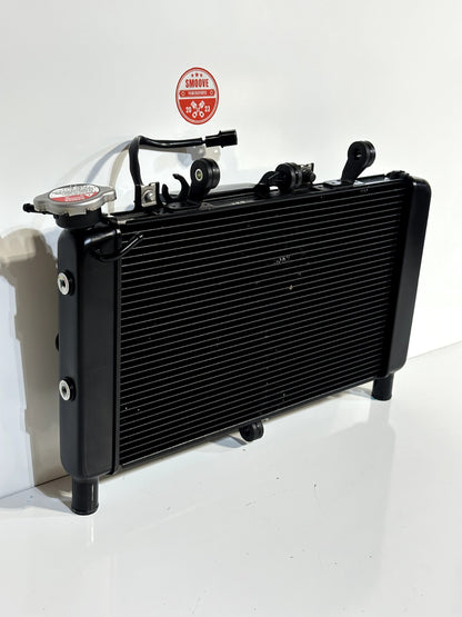 2022-2025 YAMAHA XSR900 XSR 900 OEM RADIATOR ENGINE MOTOR COOLANT COOLER W/ FAN