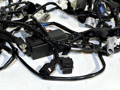 2022-2025 YAMAHA YZF R7 OEM MAIN WIRING HARNESS WIRE LOOM BEB-82590 (NO CUTS) ✅