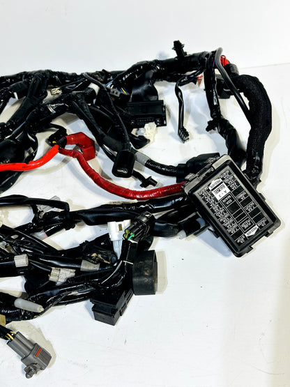 2022-2024 YAMAHA XSR900 XSR 900 OEM COMPLETE MAIN WIRING HARNESS WIRE LOOM ✅
