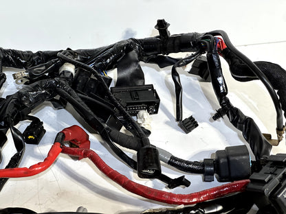 2022-2024 YAMAHA XSR900 XSR 900 OEM COMPLETE MAIN WIRING HARNESS WIRE LOOM ✅