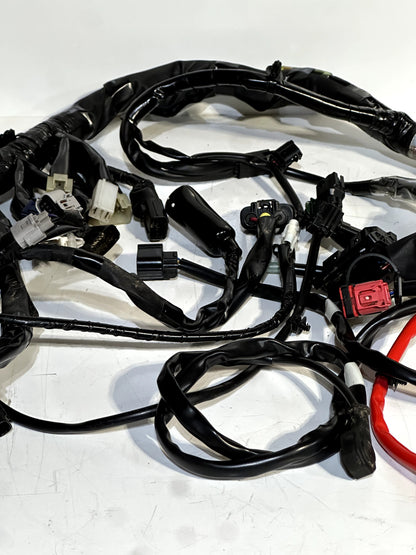 2025 YAMAHA YZF R7 OEM COMPLETE MAIN WIRING HARNESS WIRE LOOM BEB-82590-01  ✅