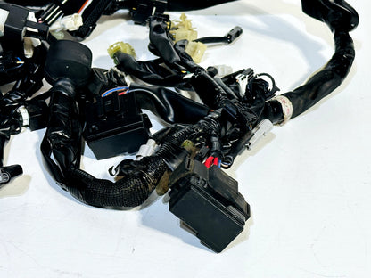 2015-2019 YAMAHA YZF R1 OEM MAIN WIRING HARNESS ELECTRICAL WIRE LOOM (NO CUTS) ✅
