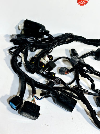 2019-2023 KAWASAKI NINJA ZX6R OEM COMPLETE MAIN WIRING HARNESS LOOM *NO CUTS* ✅