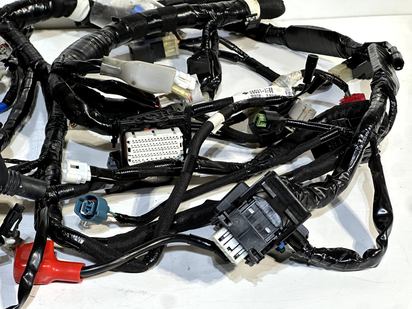 2022-2025 KAWASAKI NINJA ZX10R OEM MAIN WIRING HARNESS WIRE LOOM (NO CUTS) ✅
