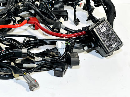 2022-2024 YAMAHA XSR900 XSR 900 OEM COMPLETE MAIN WIRING HARNESS WIRE LOOM ✅