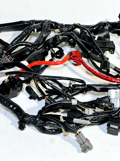 2022-2024 YAMAHA XSR900 XSR 900 OEM COMPLETE MAIN WIRING HARNESS WIRE LOOM ✅