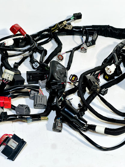 2024-2026 KAWASAKI NINJA ZX6R ABS OEM MAIN WIRING HARNESS WIRE LOOM (NO CUTS)✅