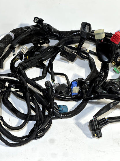2023-2026 KAWASAKI NINJA ZX4RR OEM MAIN WIRING HARNESS WIRE LOOM (NO CUTS) ✅