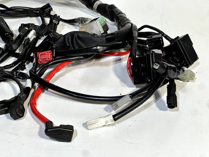 2025 YAMAHA YZF R7 OEM COMPLETE MAIN WIRING HARNESS WIRE LOOM BEB-82590-01  ✅