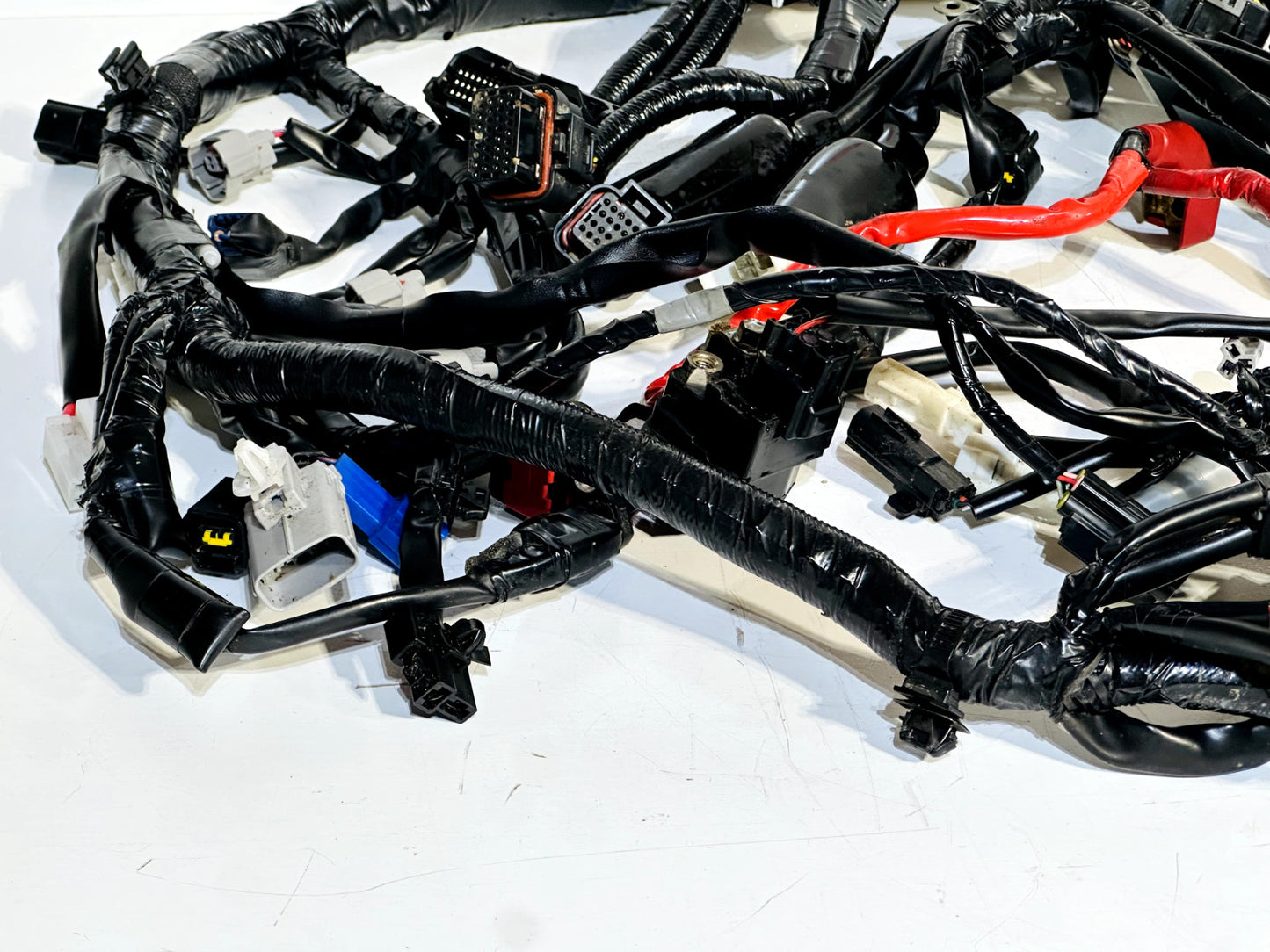 2022-2024 YAMAHA XSR900 XSR 900 OEM COMPLETE MAIN WIRING HARNESS WIRE LOOM ✅