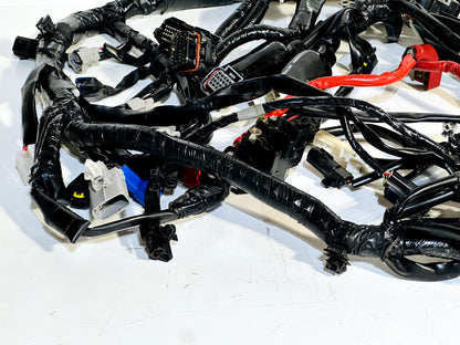 2022-2024 YAMAHA XSR900 XSR 900 OEM COMPLETE MAIN WIRING HARNESS WIRE LOOM ✅