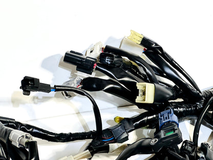 2022-2025 YAMAHA YZF R7 OEM COMPLETE MAIN WIRING HARNESS WIRE LOOM BEB-82590-00