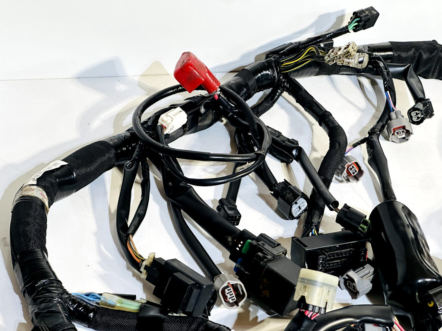 2024-2026 KAWASAKI NINJA ZX6R ABS OEM MAIN WIRING HARNESS WIRE LOOM (NO CUTS)✅