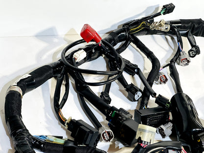 2024-2026 KAWASAKI NINJA ZX6R ABS OEM MAIN WIRING HARNESS WIRE LOOM (NO CUTS)✅