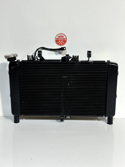 2022-2025 YAMAHA XSR900 XSR 900 OEM RADIATOR ENGINE MOTOR COOLANT COOLER W/ FAN